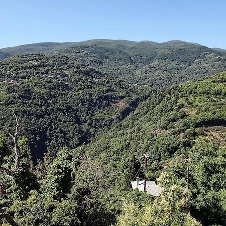 Theta Hotel Pelion Áyios Dhimítrios Exteriér fotografie