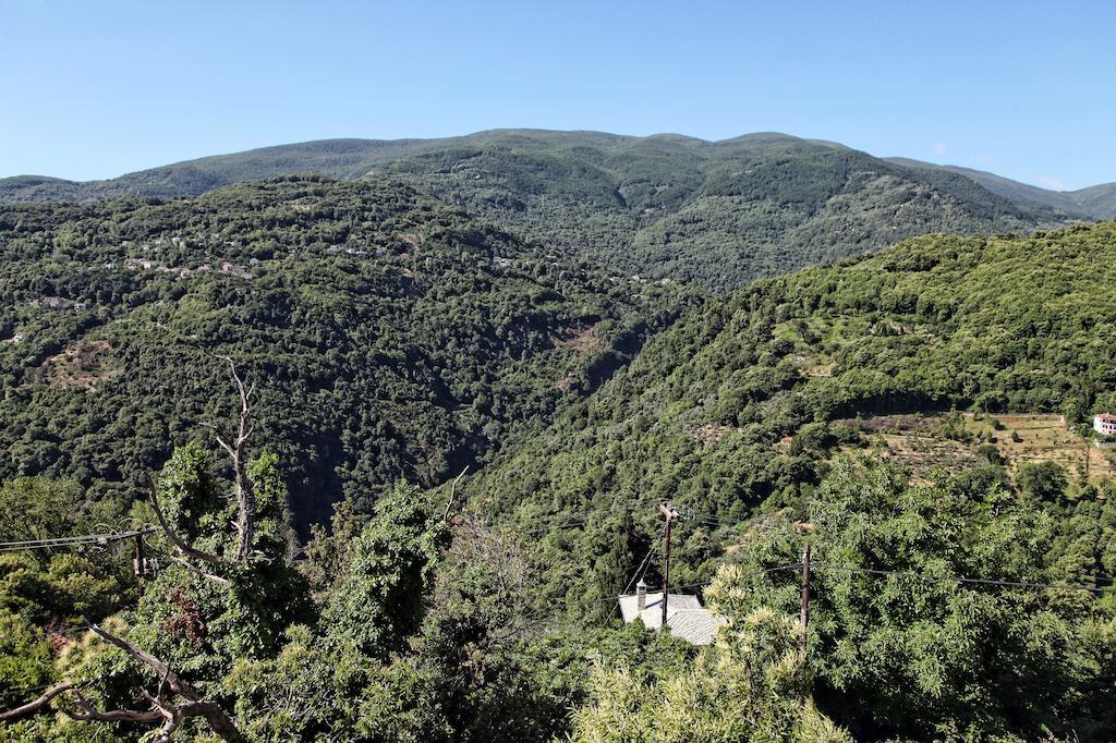 Theta Hotel Pelion Áyios Dhimítrios Exteriér fotografie